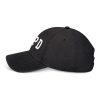 PUT YOUR PHONE DOWN Hat 2026 Tour PYPD | Vintage Cap