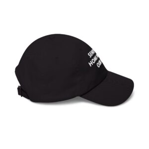 Send Them Home Protect Hat | Send Them Protect Our Kids Cap